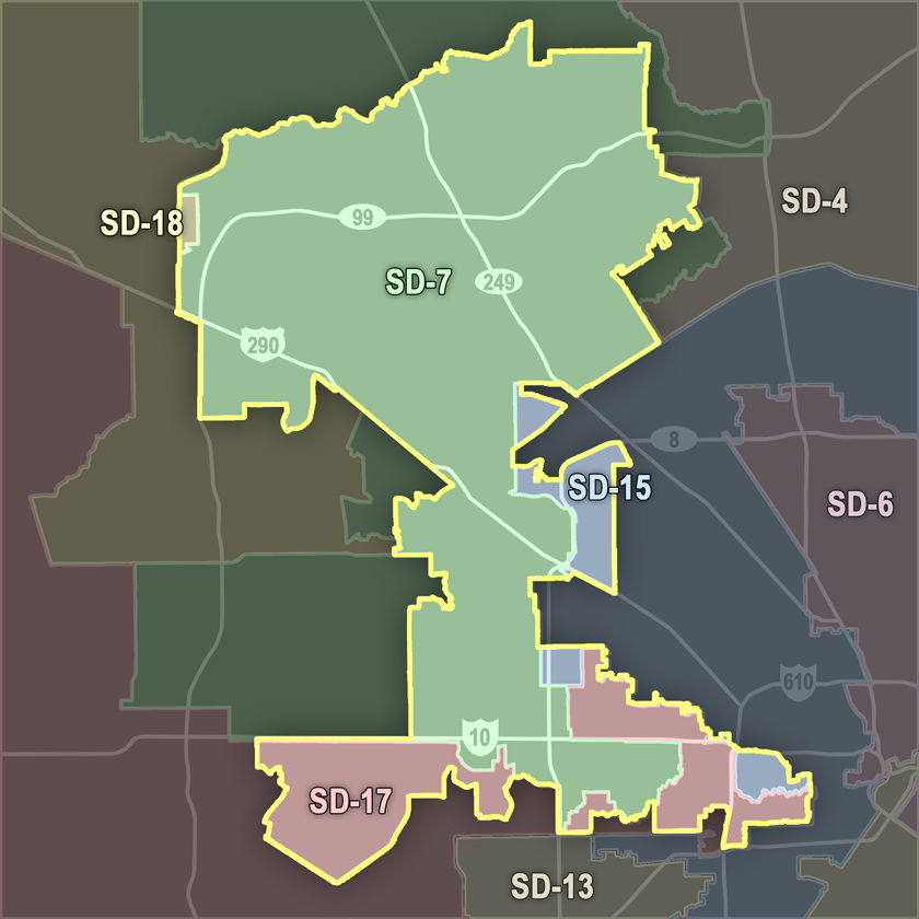 Texas Senate Districts in CD38